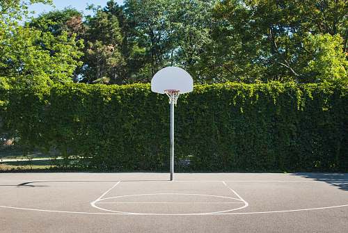 basketball court white and red basketball system close-up photography sports
